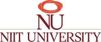 picture-niit-university