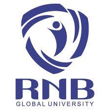 picture-r-n-b-global-university