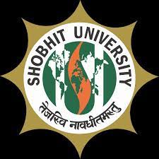 picture-shobhit-institute-of-engineering-amp-technology