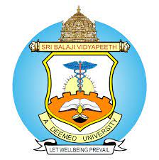picture-sri-balaji-vidyapeeth
